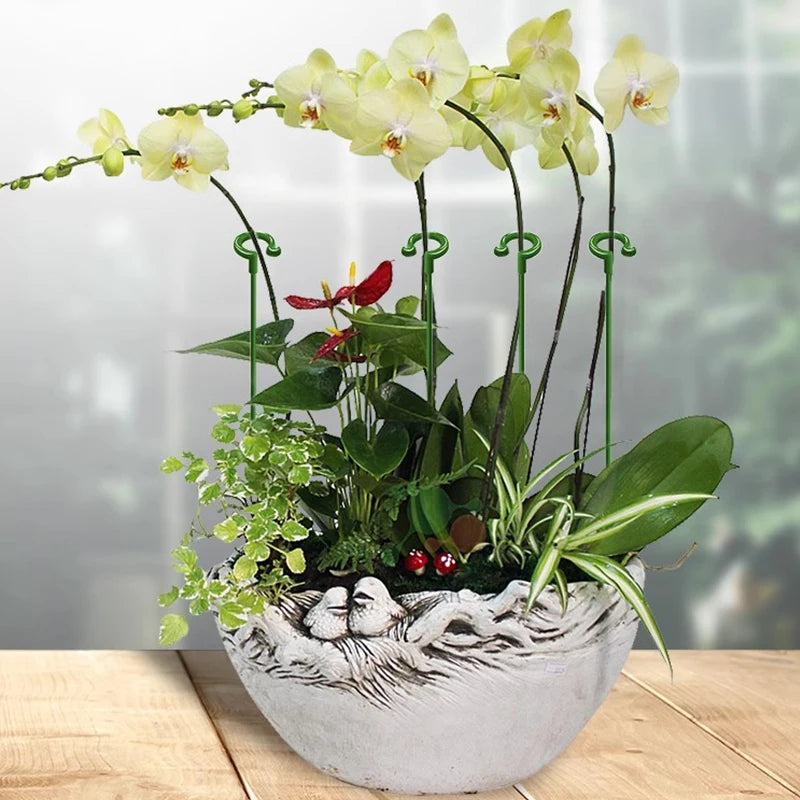 tiges soutien plantes vertes clips anti lodging moderne pot fleurs réutilisables 17cm 27cm 37cm