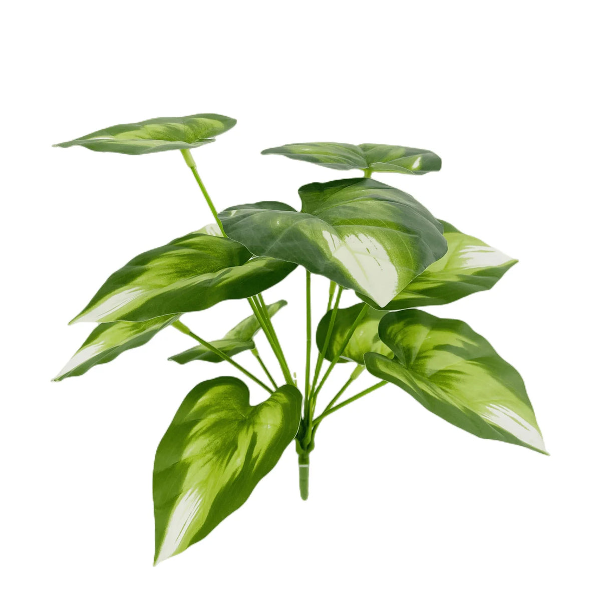 plante artificielle décorative feuilles vertes blanches rouges salon maison moderne naturel