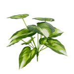 plante artificielle décorative feuilles vertes blanches rouges salon maison moderne naturel