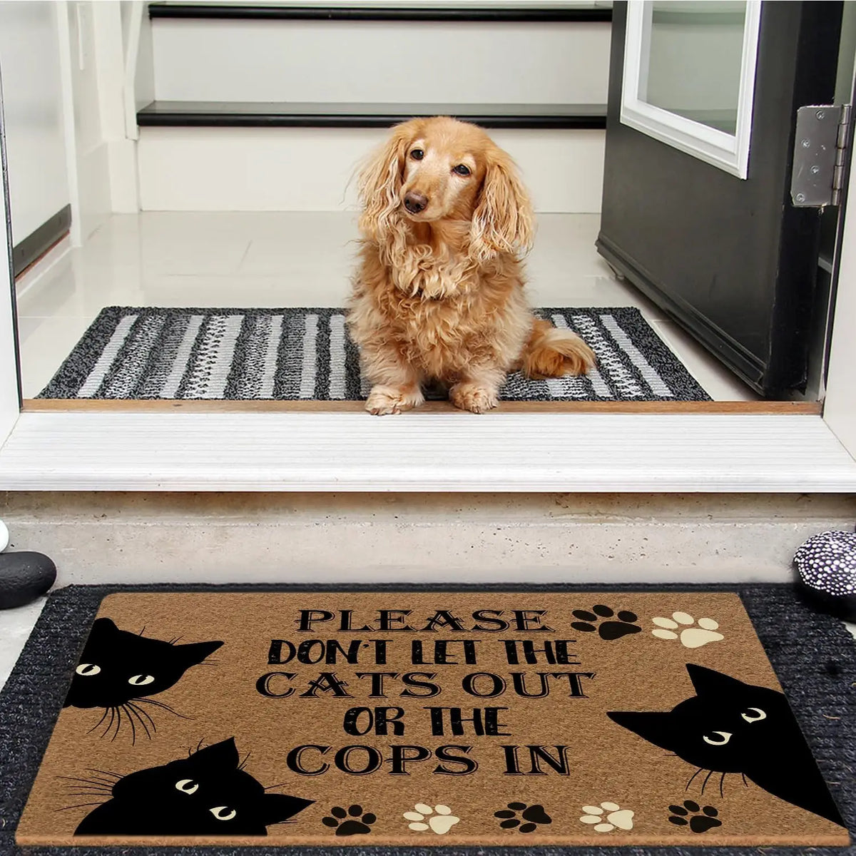 tapis d'entrée antidérapant marron chats noirs humour extérieur sol résistant bactéries
