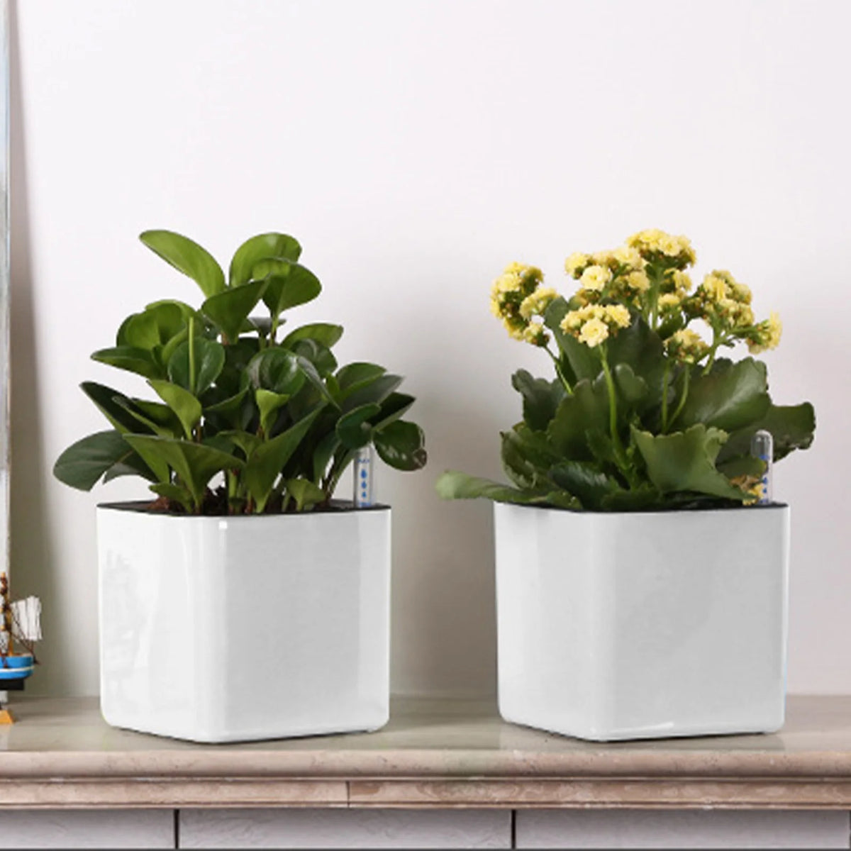 pot auto irriguant moderne indicateur eau fleur plante verte corde coton absorbant blanc opacité