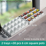 pots plantes plastique moderne blanc cactus succulents lithops drainage decoration maison