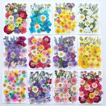 fleurs séchées multicolores variées naturelles scrapbooking décoration maison artisanat DIY