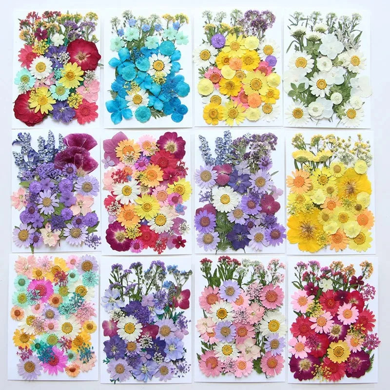 fleurs séchées multicolores variées naturelles scrapbooking décoration maison artisanat DIY