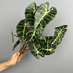 plantes artificielles decoration maison feuilles vert brun rouge veines blanches moderneintérieurDecorationFeuillesPlastique5pieces
