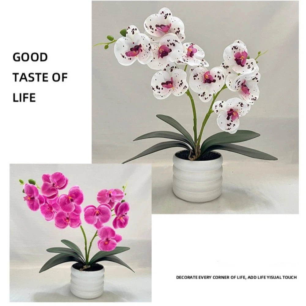 décoration intérieure orchidée artificielle fleurs blanches feuilles vertes moderne accroché maison blanc rose