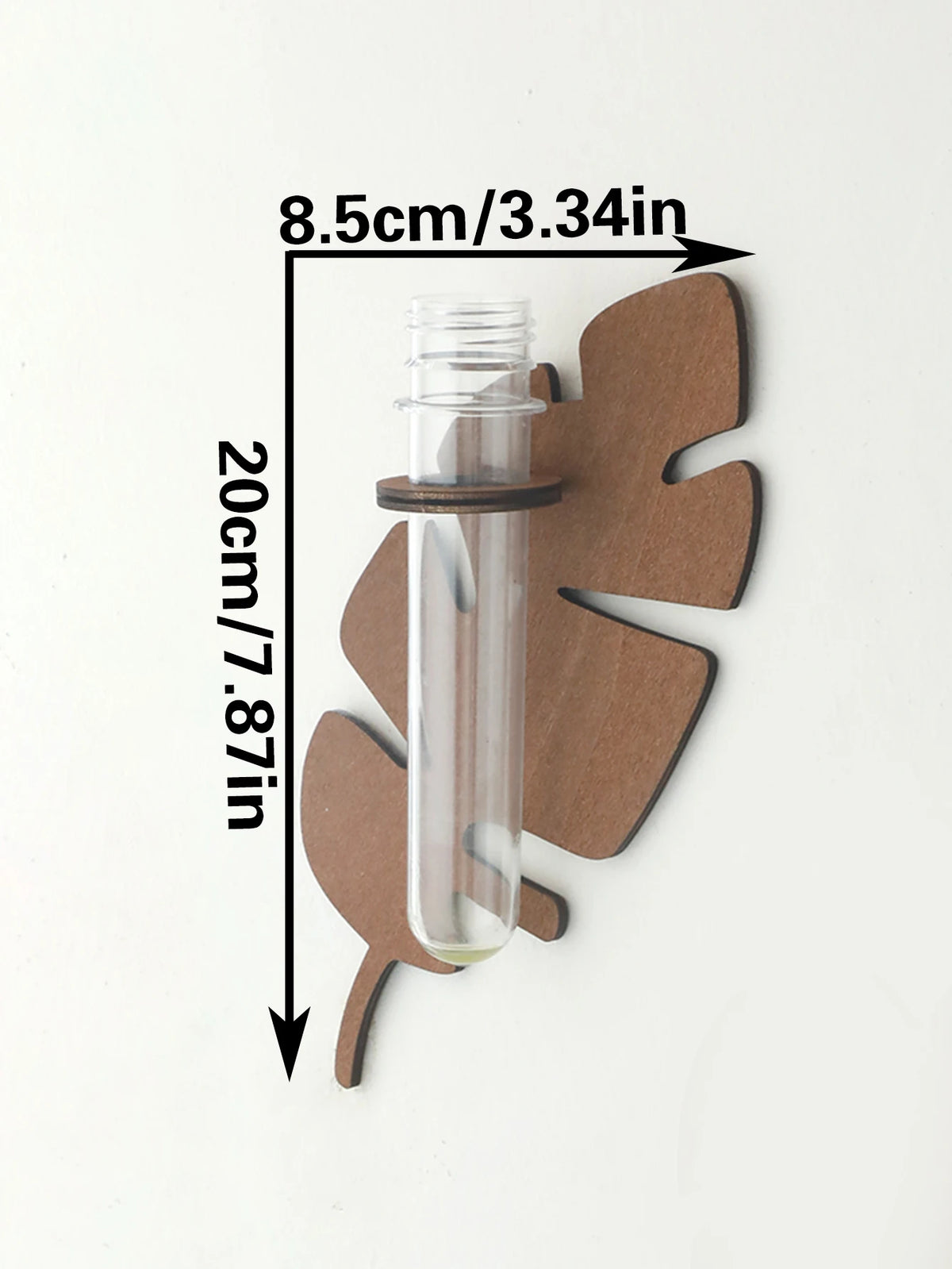 Support mural moderne feuille Monstera clips métalliques plante verte tube verre transparent chambre salon