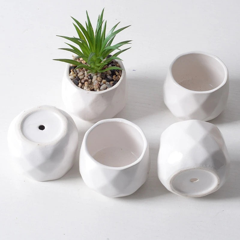pots fleurs céramique blanc modernes minimalistes succulentes decoration intérieure jardinière