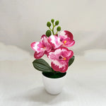 décoration intérieure orchidée artificielle blanche fleurs roses feuilles vertes moderne
