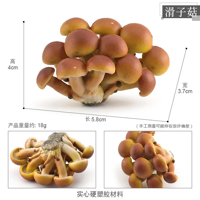 miniatures champignons réalistes photographie accessoires gris rouge blanc marron opaques pastoralesextérieur