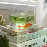 cube verre transparent moderne pot culture plantes intérieur extérieur 8cm 10cm 12cm 15cm 18cm