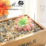 plantes succulentes artificielles vert feuilles pointues réaliste gravier boîte bois extérieur anniversaire exposantDecoration