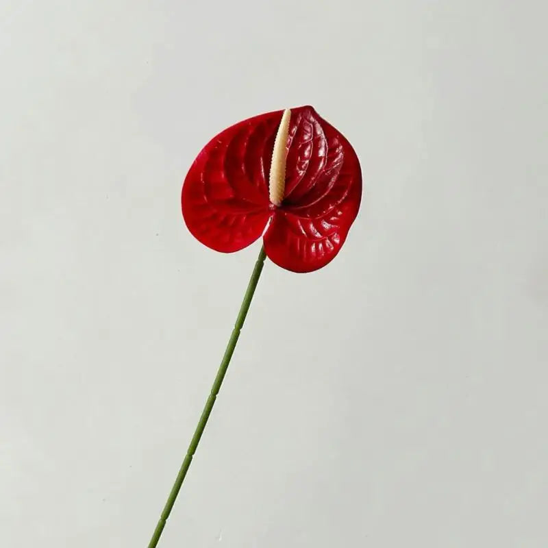 décoration intérieure plante artificielle feuilles ovales moderne vase boîte enjoy life rouge vert blanc