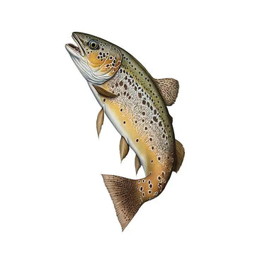 sticker mural poisson stylisé illustration réaliste poissons divers couleurs vert bleu marron