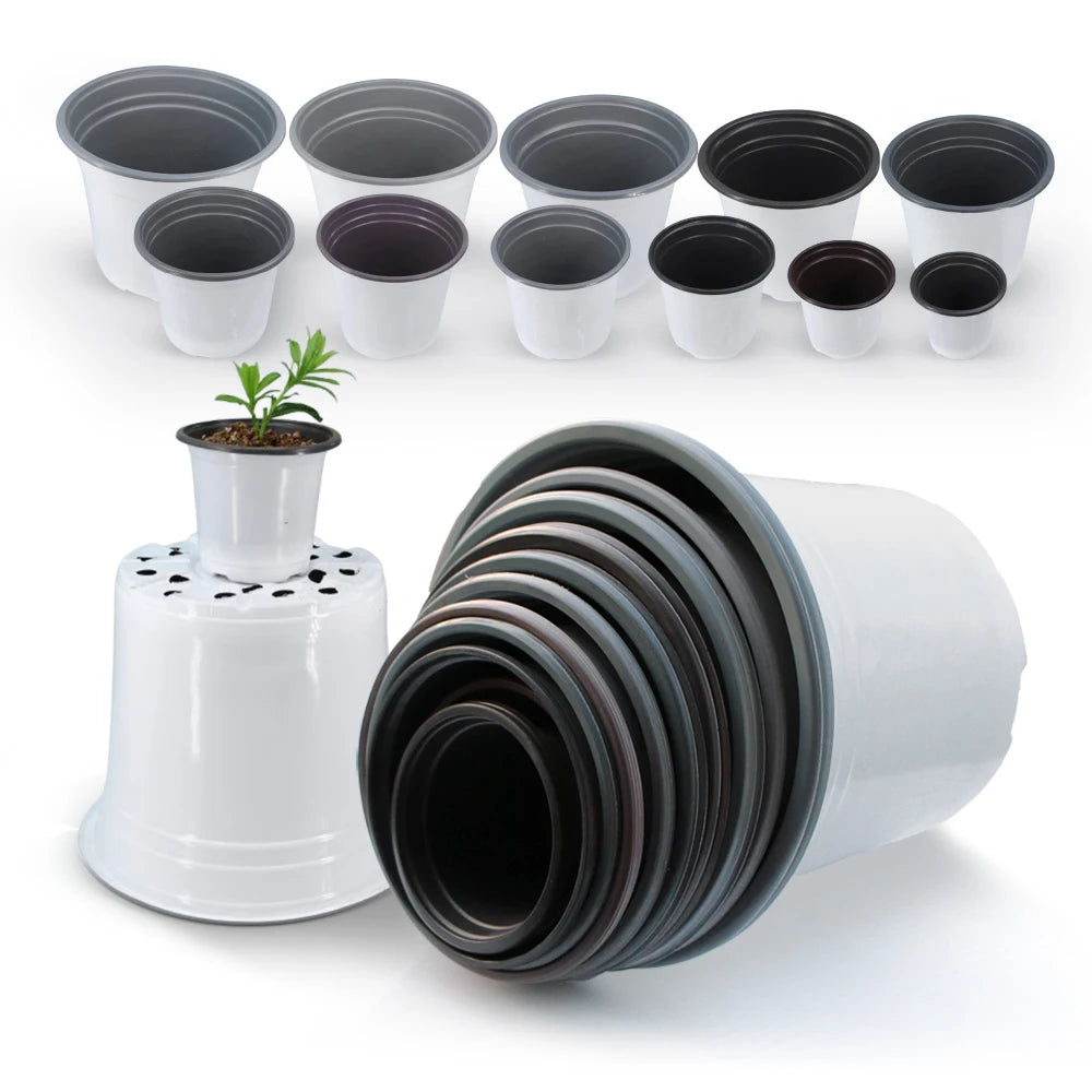 pot fleurs plastique blanc moderne petit jardin plante succulente semis terre décoration intérieur
