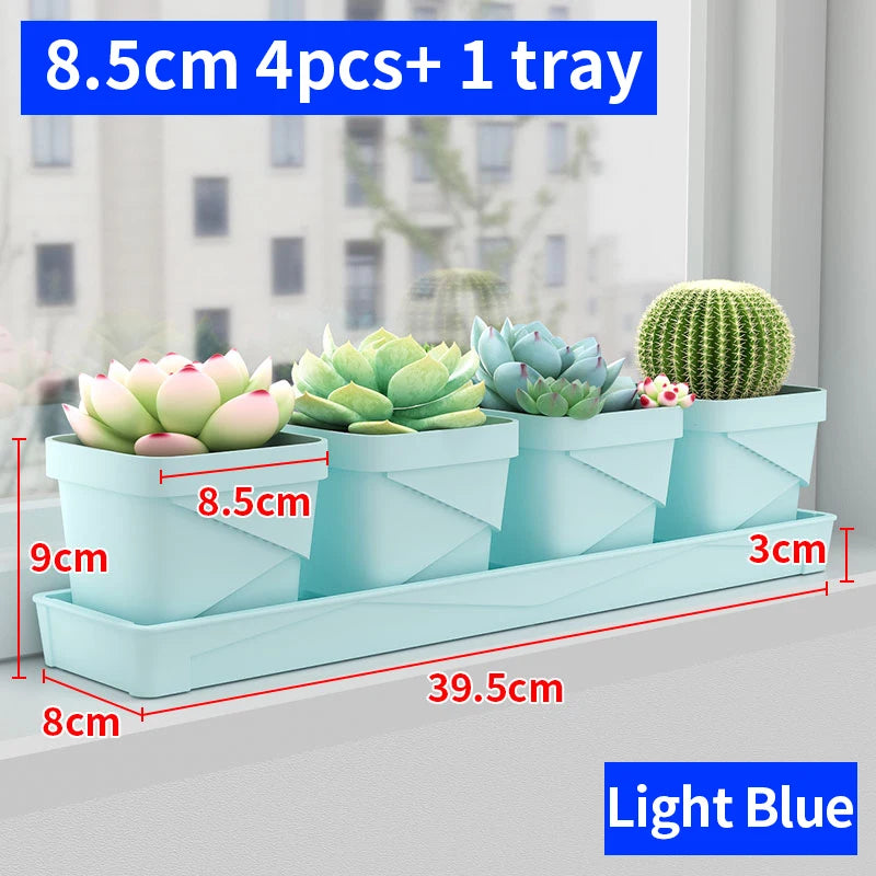 petit pot fleurs blanc plastique moderne cactus succulentes plateau intégré