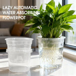 pot fleurs transparent absorption automatique eau grille perforations moderne plastiqueDecorationPlantes