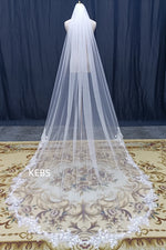 voile mariée blanc dentelle broderies élégante translucide clips métalliques femme classique accessoire mariage luxueux