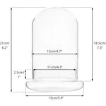 terrarium moderne transparent verre base vase plantes maison cloche