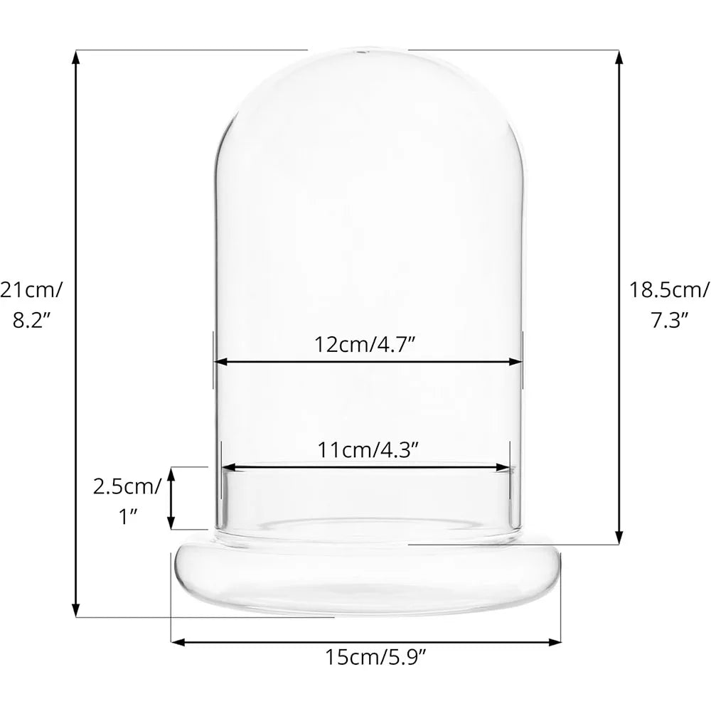 terrarium moderne transparent verre base vase plantes maison cloche