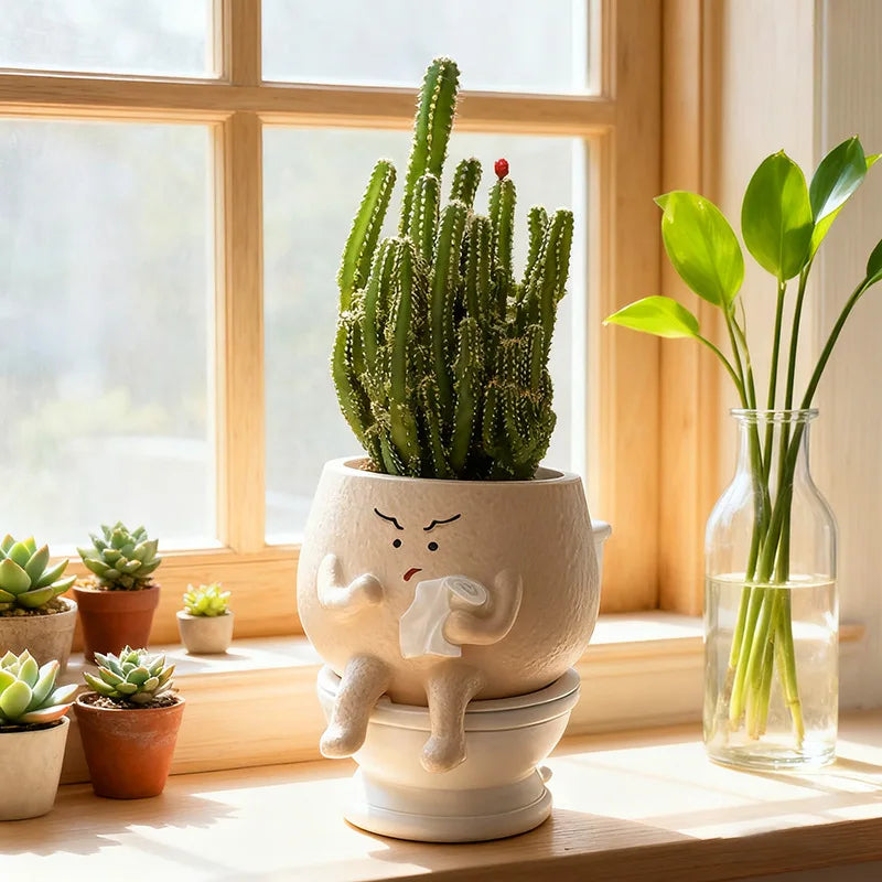 pot fleurs forme toilette cactus humour décoratif maison cadeau anniversaire noël