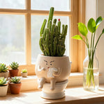 pot fleurs forme toilette cactus humour décoratif maison cadeau anniversaire noël