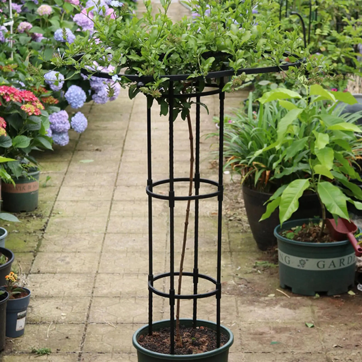 support plante grimpante métal moderne noir structure circulaire rectangulaire jardin dimensions variées 120cm 150cm