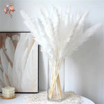 plumes pampas séchées blanches décorations fleurs naturelles rustiques mariage maison intérieur bouquet
