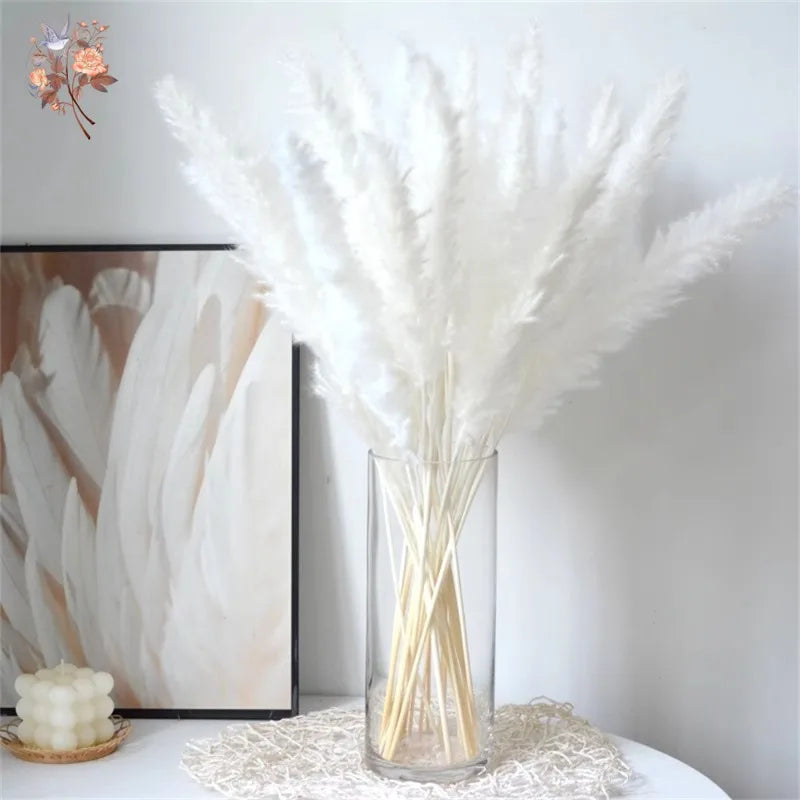 plumes pampas séchées blanches décorations fleurs naturelles rustiques mariage maison intérieur bouquet