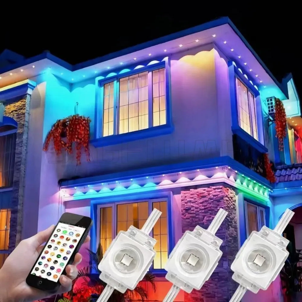 Guirlande lumineuse LED RGB avec télécommande 2.4G
