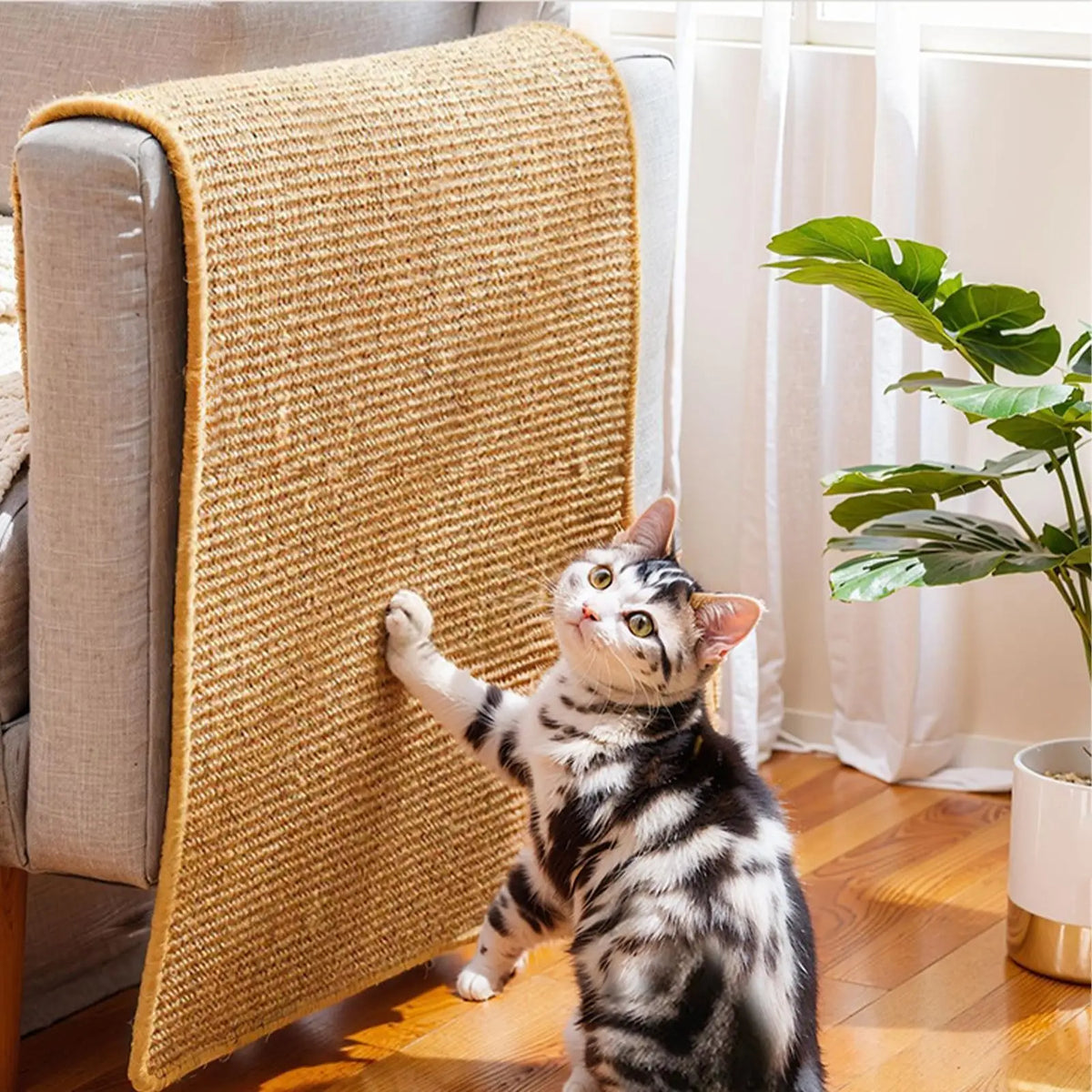 tapis griffoir sisal auto adhésif protection meuble chat minimaliste moderne