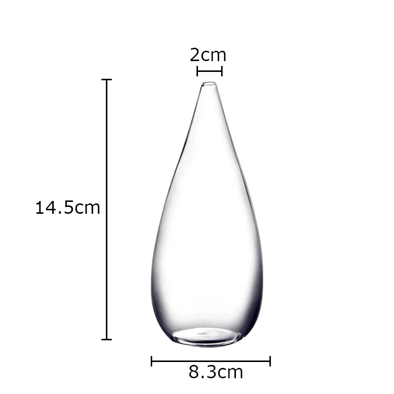vase verre transparent moderne pot fleur décoration table esthétique minimaliste chambre salon