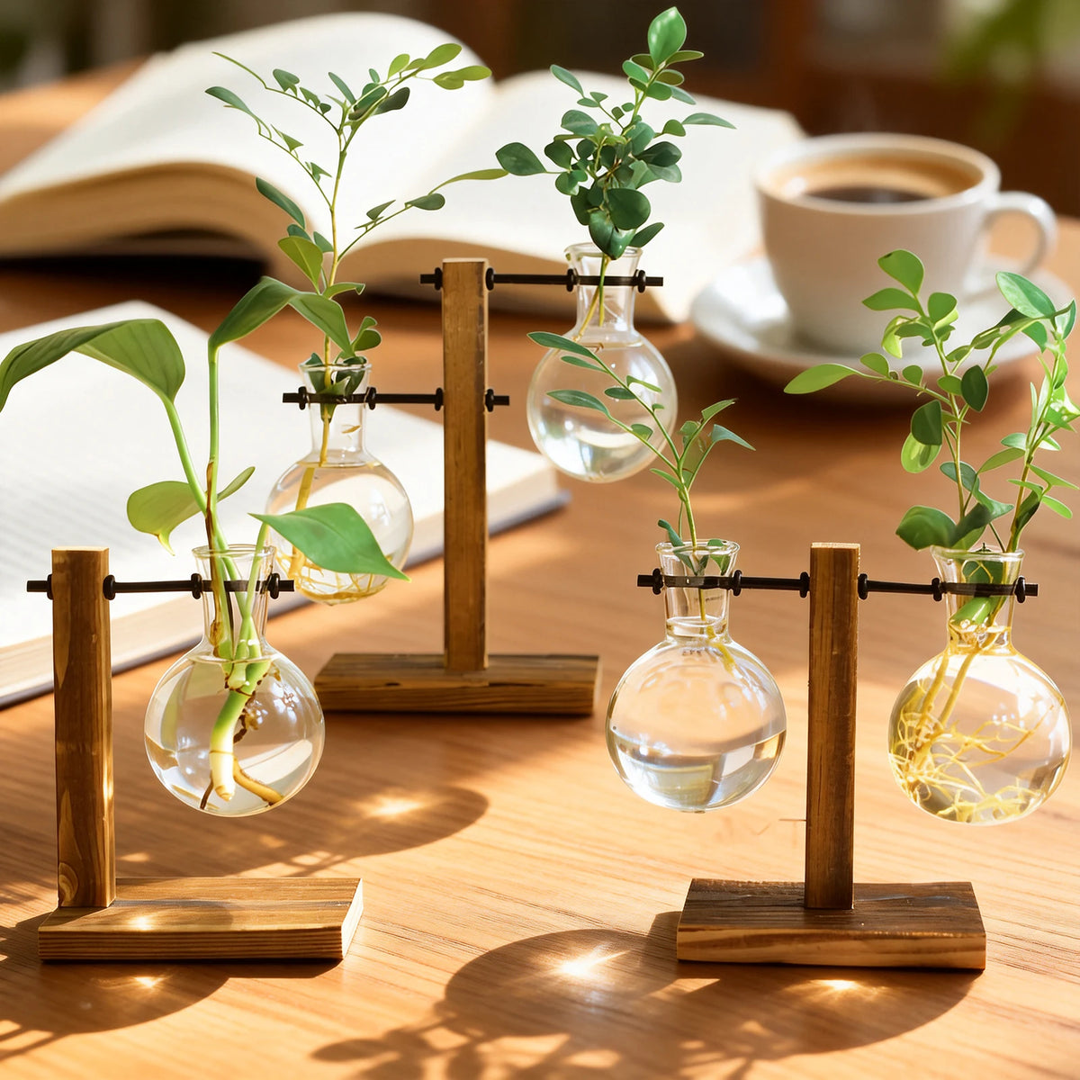 vase verre transparent support bois plante intérieure minimaliste hydroponie contemporain deco chambre