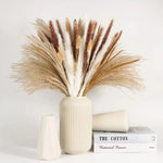 bouquet pampas séchés naturels beige marron blanc décoration boho intérieur événements festifs