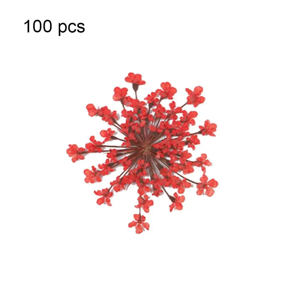 fleurs séchées pressées coque téléphone transparente arbre fleurs roses naturel artisanat bijoux 100 pièces