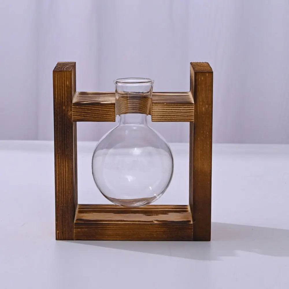 vases transparents modernes verre rond geometrique decoration plante verte