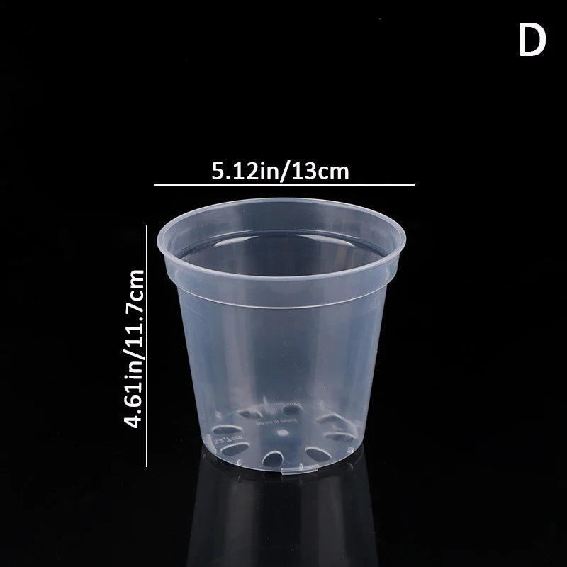 Pots semis transparents trou drainage moderne pratique couvercle