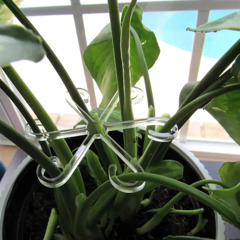supports plantes adhésifs floral moderne noir blanc vert rose