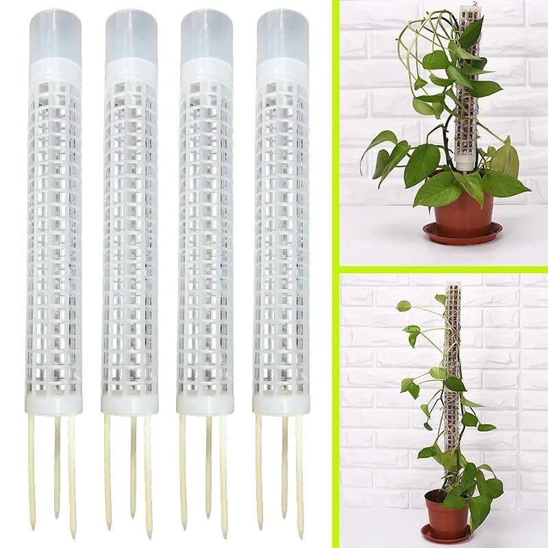 support plantes blanc perforé moderne pot drainage auto arrosageintérieur jardin