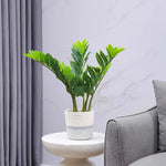 plantes artificielles branches vertes feuilles simples extérieur moderne pot blanc exposé