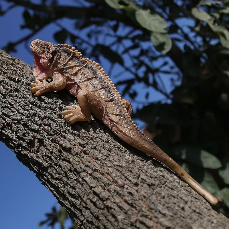 Lézard en résine lavande dans un jardin contemporain