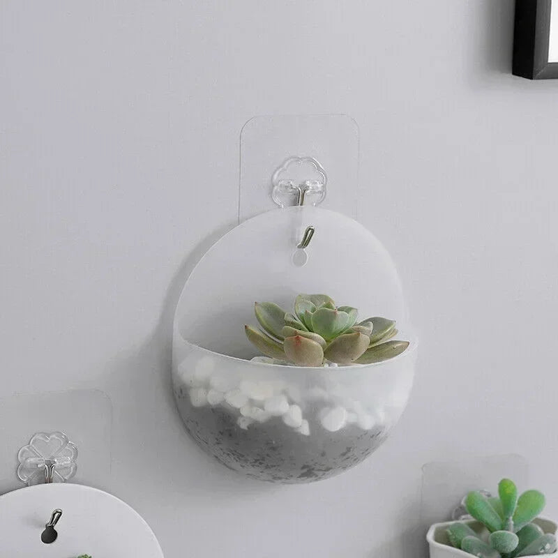 plante murale moderne pot osier suspendu décoration intérieure transparent succulente minimaliste