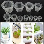 paniers hydroponiques blancs perforations circulaires modernes pots culture plantes aéroponique pépinièreClone