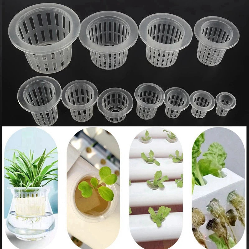 paniers hydroponiques blancs perforations circulaires modernes pots culture plantes aéroponique pépinièreClone