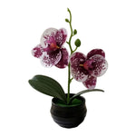 décoration intérieure orchidées artificielles violettes blanches vertes moderne pot noir