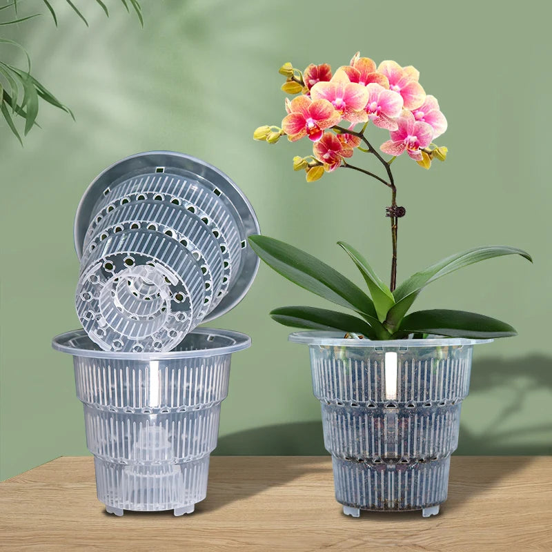 Pots plante transparents modernes perforés drainants 10cm fleur verteintérieur
