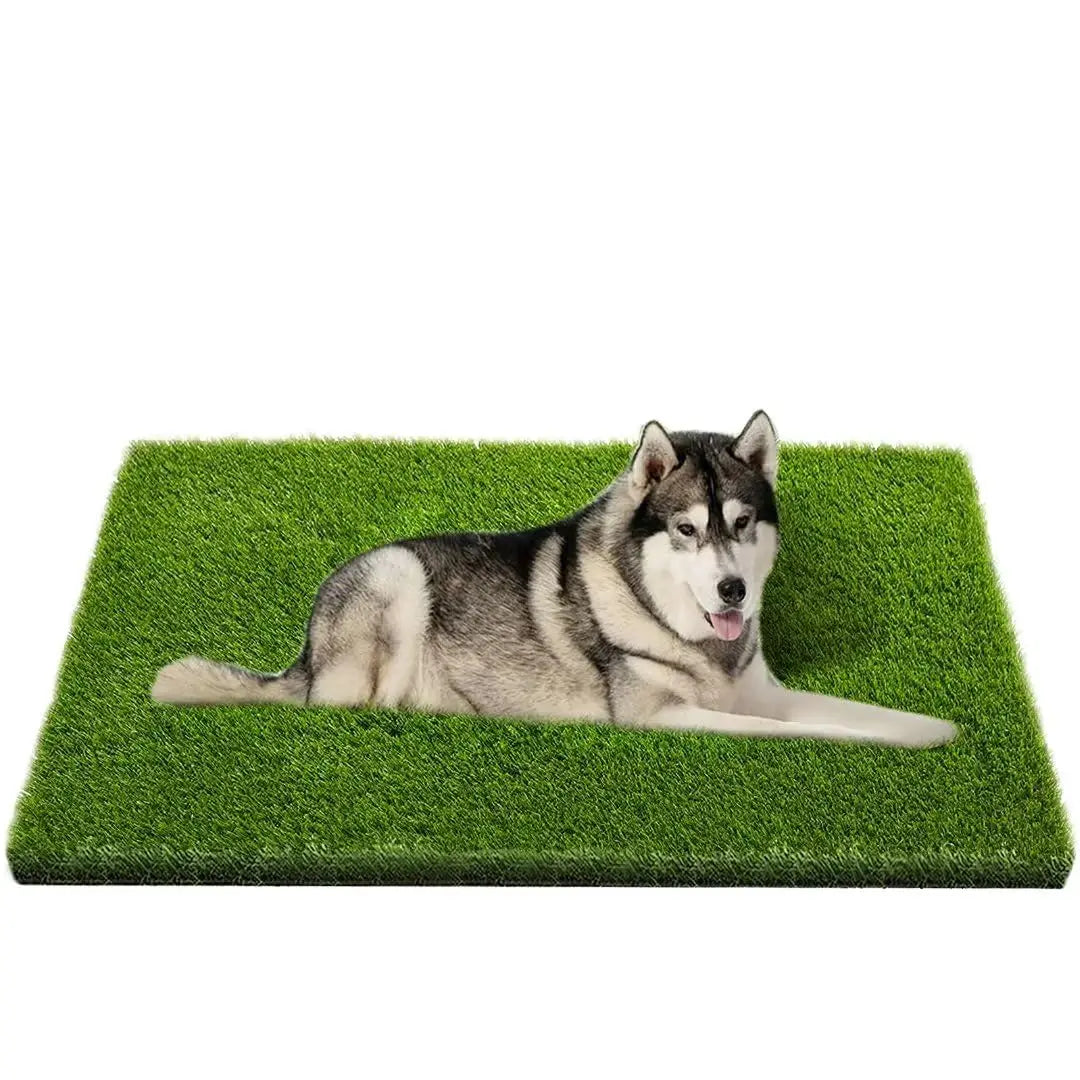 tapis herbe artificielle imperméable chiens enfants solide vert pratiqueextérieur cleansing training