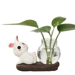 cache pot verre transparent base céramique panda lapin feuilles moderne intérieur blanc noir vert