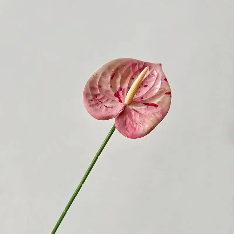décoration intérieure plante artificielle feuilles ovales moderne vase boîte enjoy life rouge vert blanc