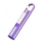 torche rechargeable led portable annneau violet rose gris jaune verte bleue